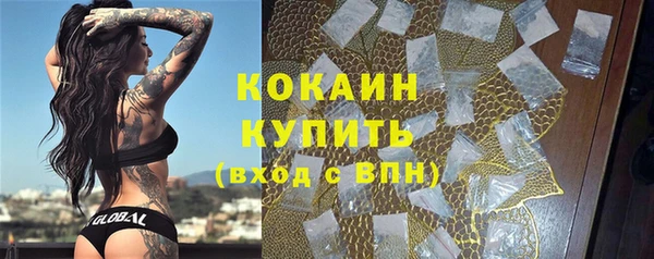 спиды Арсеньев