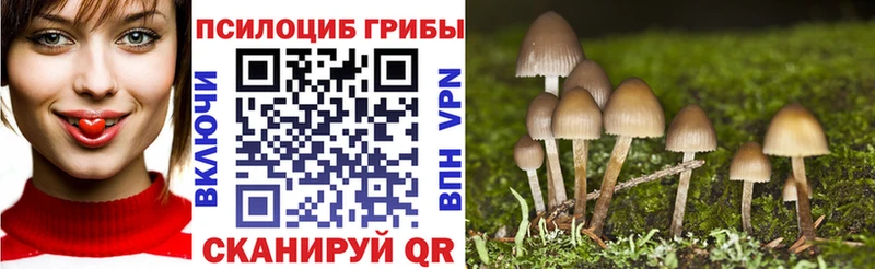 Псилоцибиновые грибы мицелий  Фатеж 