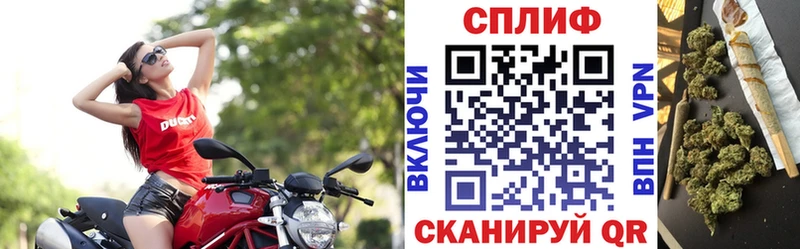 Каннабис планчик  Фатеж 